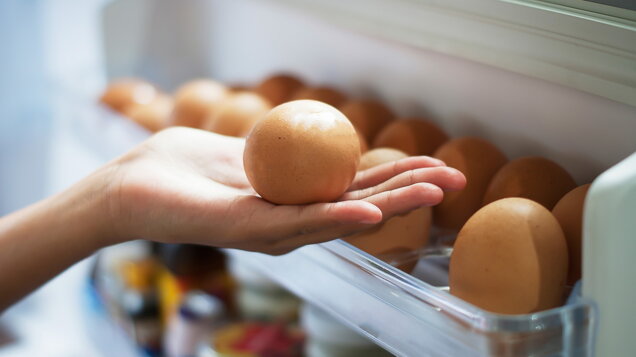 Vajíčka v chladničke