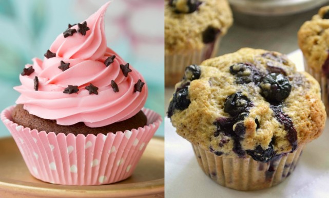 Muffin vs cupcake 2